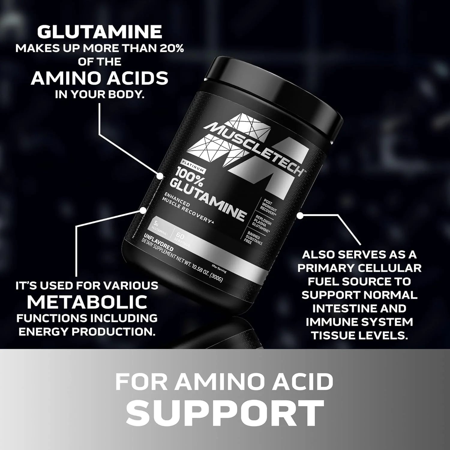 Muscletech 100% L-Glutamine Powder for Enhanced Muscle Recovery - Pure L Glutamine Muscle Growth Builder & Energy Boosting Nutritional Supplement for Men & Women - Unflavored, 60 Servings
